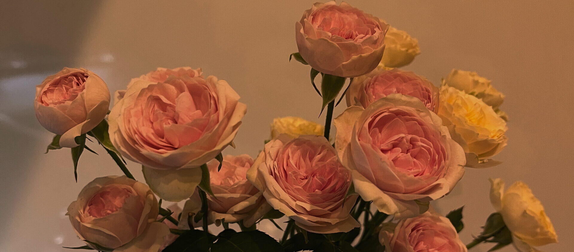 HITOMI’s  Piano Music School